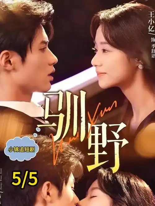 长夜将明 热播电视剧全集在线观看